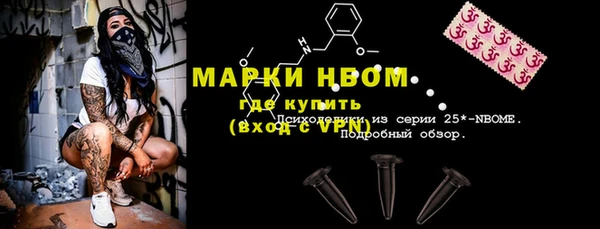 ГАЛЛЮЦИНОГЕННЫЕ ГРИБЫ Новозыбков