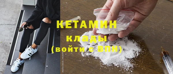 гидра Новодвинск