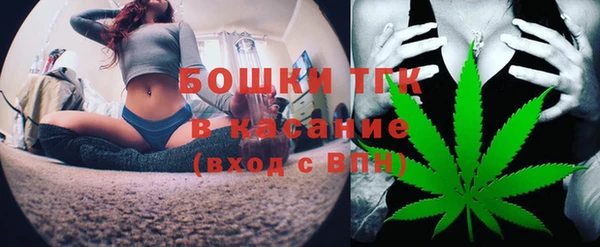 ГАЛЛЮЦИНОГЕННЫЕ ГРИБЫ Новозыбков