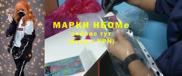 ГАЛЛЮЦИНОГЕННЫЕ ГРИБЫ Новозыбков