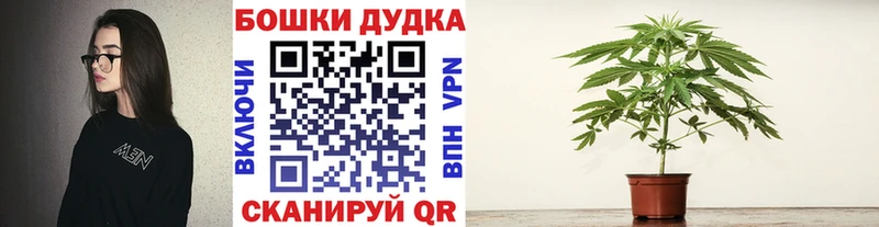 Бошки Шишки семена  наркотики  blacksprut маркетплейс  Ликино-Дулёво 